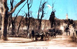2589- Djidjelli - Vigie